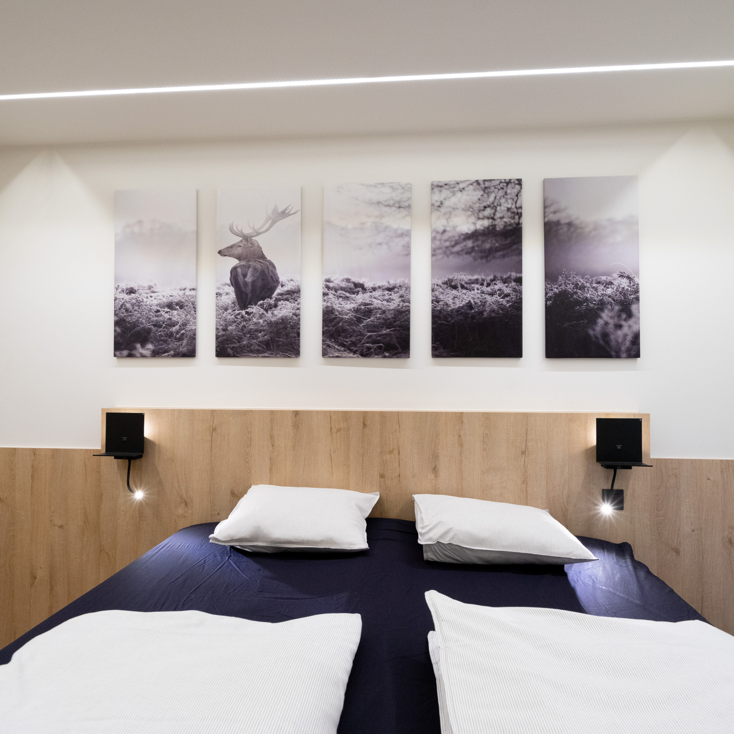 Bridge into the Nature Web-02991.jpg