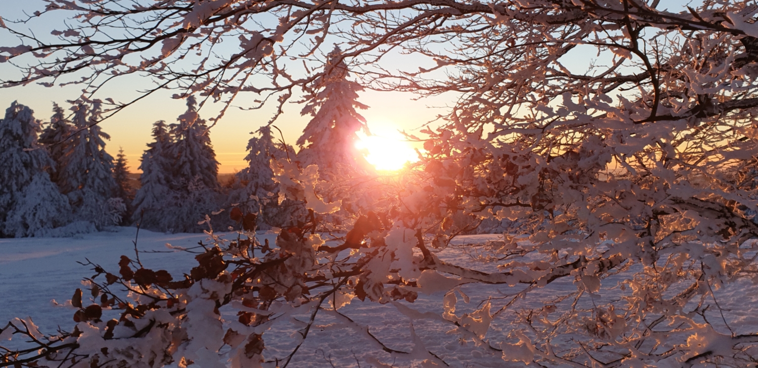 Winterlandschaft umgebung (5).jpg