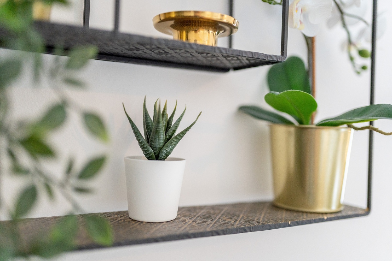 134 Clare Rd Cardiff CF11 6RW 115.jpg