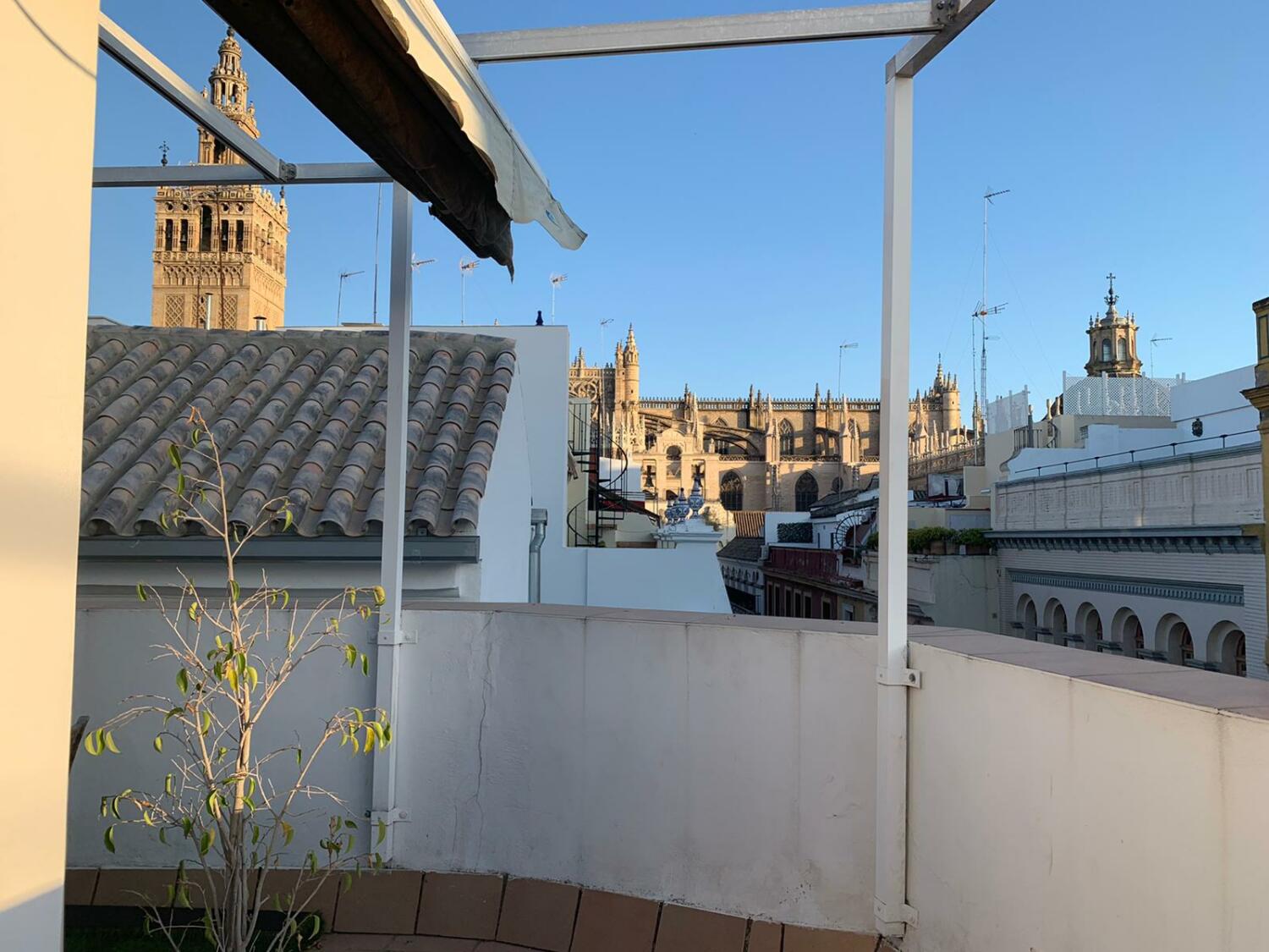 WhatsApp Image 2020-07-29 at 19.40.36.jpeg