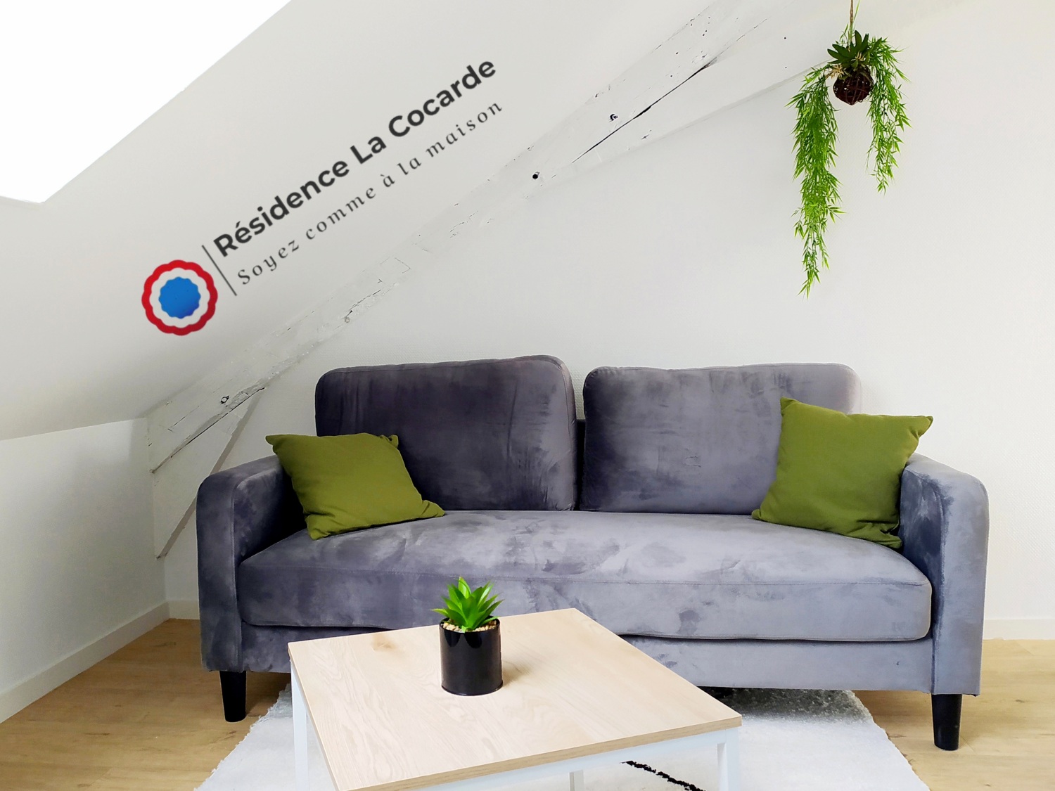 T2 N7 étage 2(4).jpg