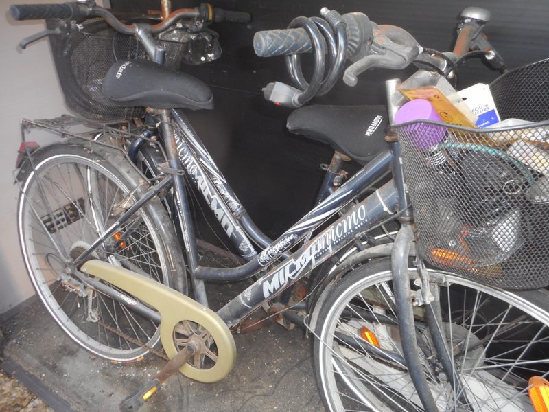 zz LUVITERE two bikes.JPG