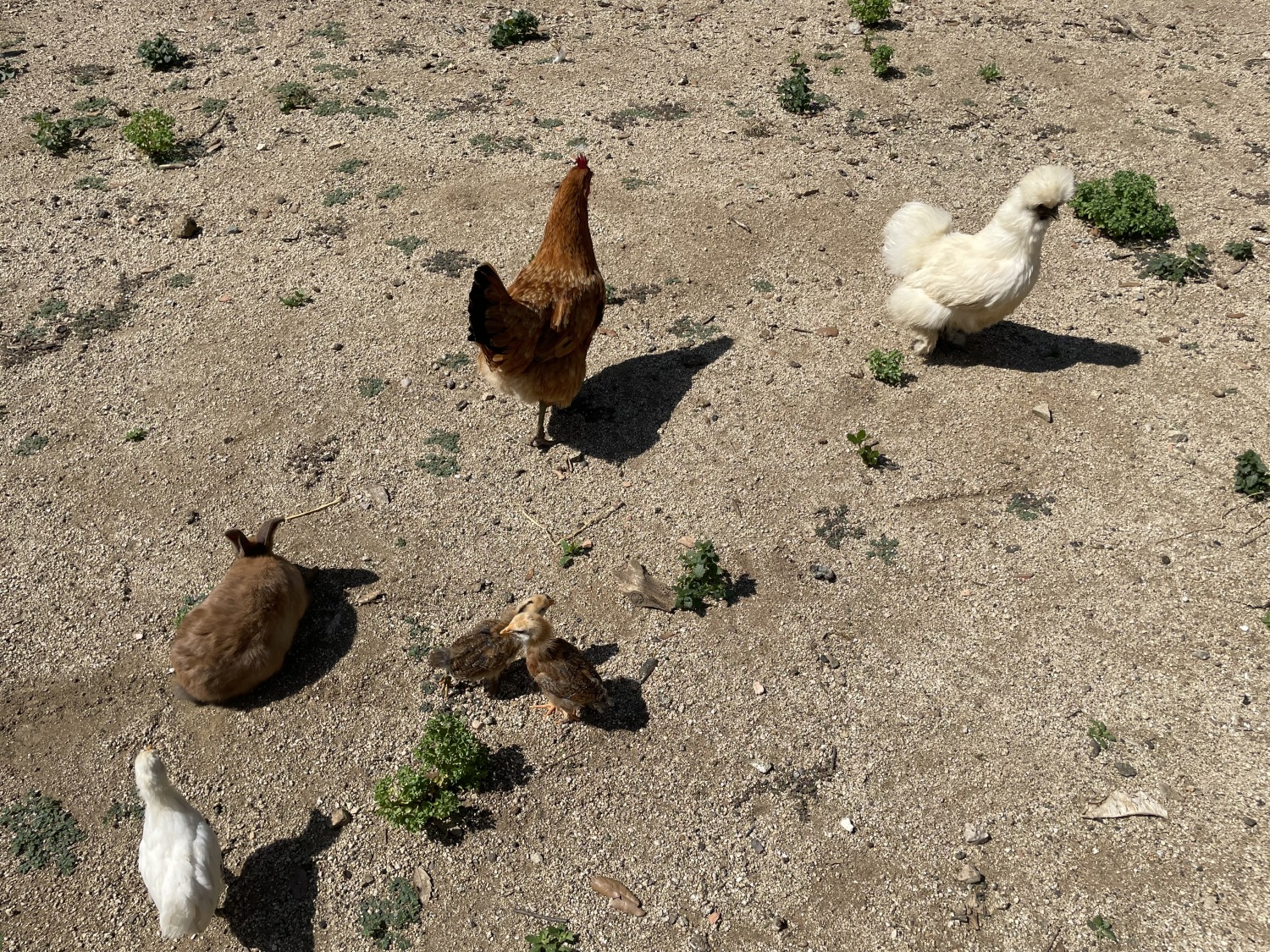 36 FOTOS EL JARDI.jpg