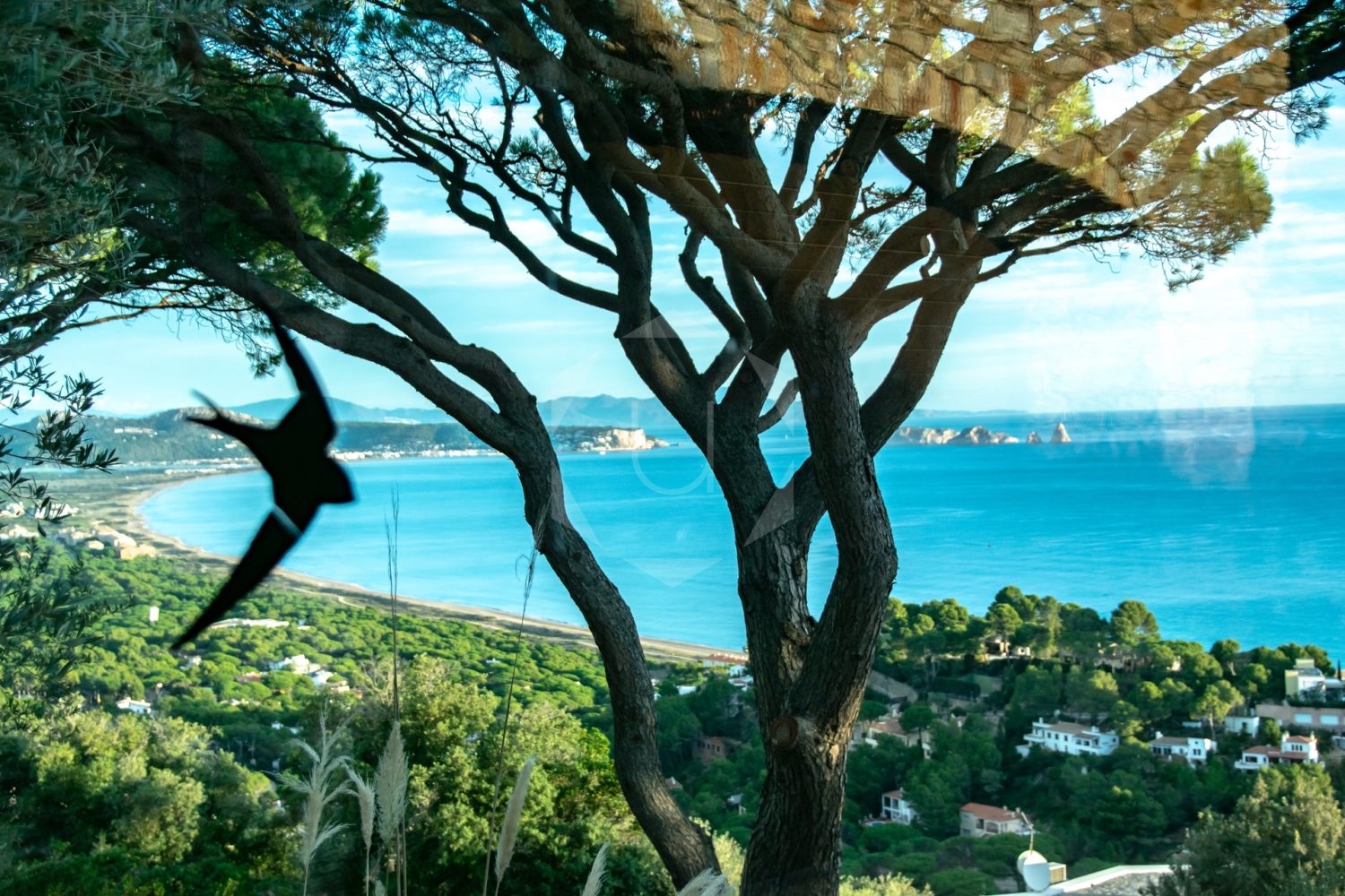 23UNIQUE holiday home, rosa dels vents, begur, Sa riera, Costa Brava.jpg