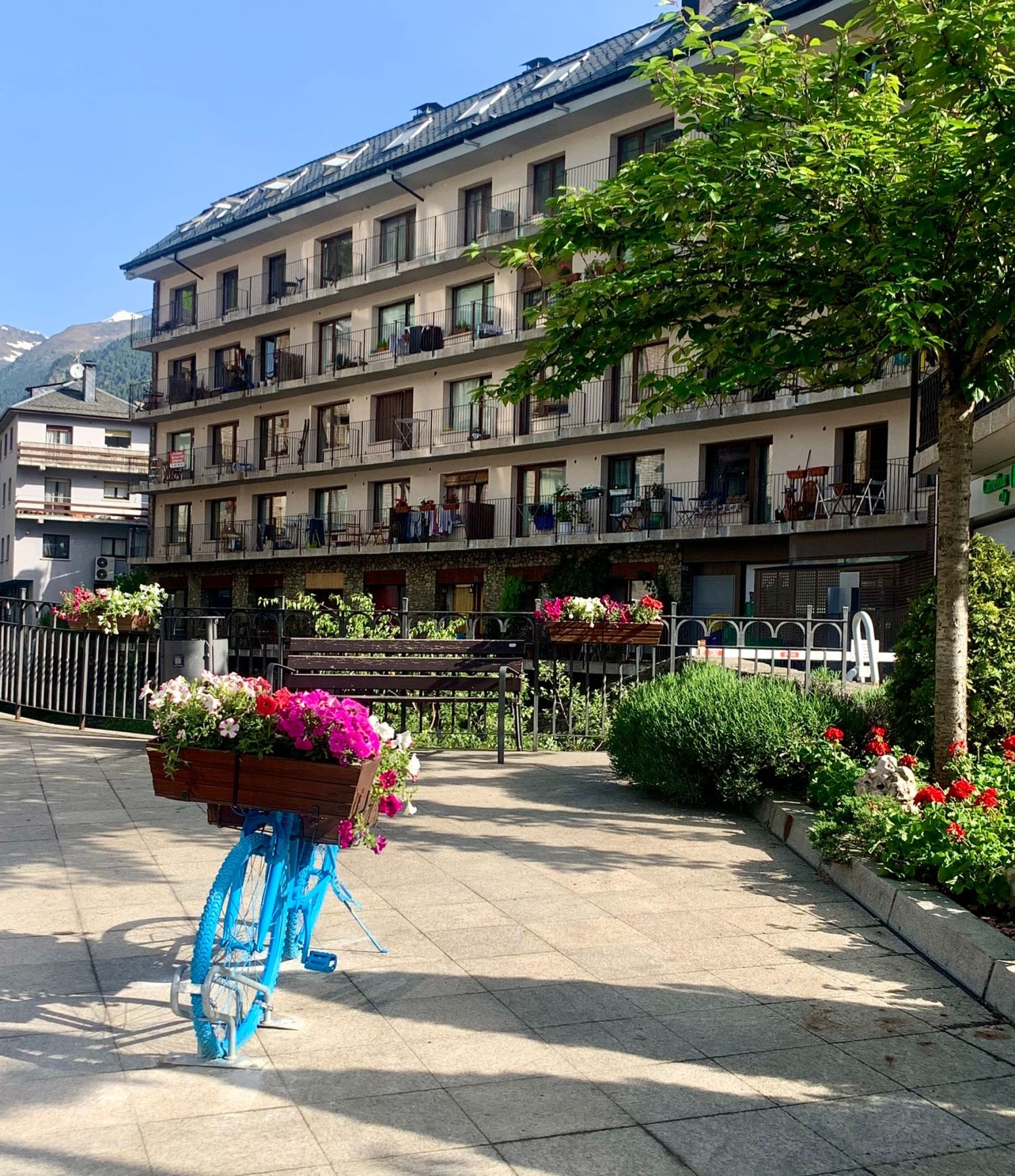 WhatsApp Image 2022-05-27 at 10.41.00 AM.jpeg