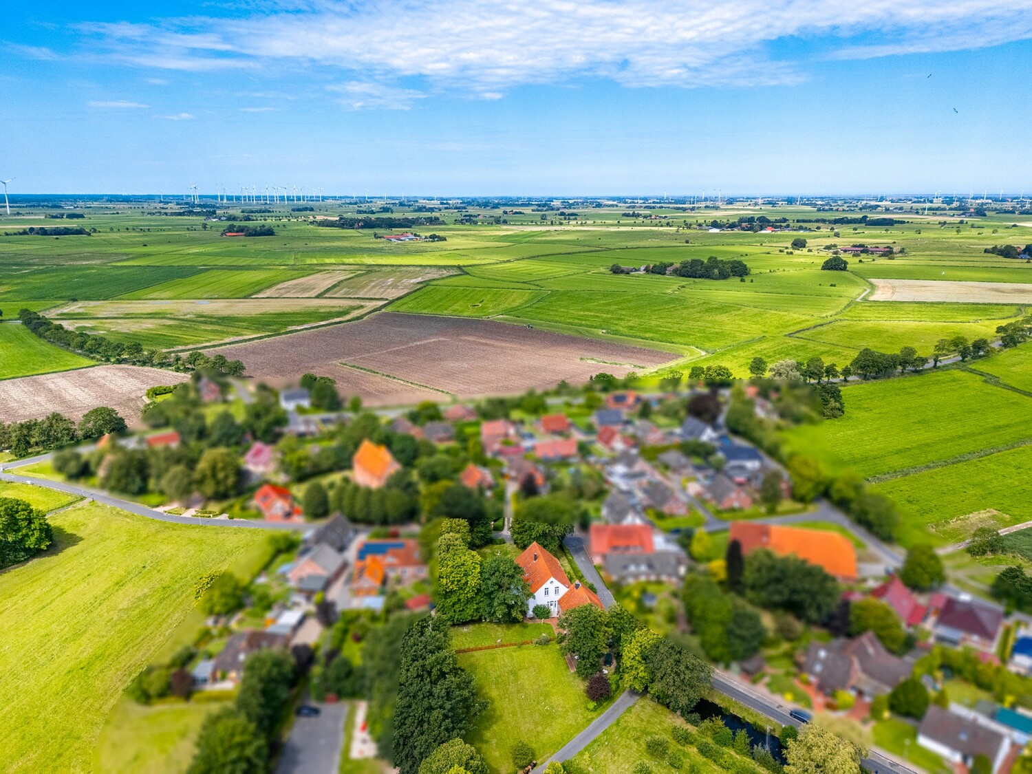 DJI_20240730115434_0760_D-Bearbeitet.jpg