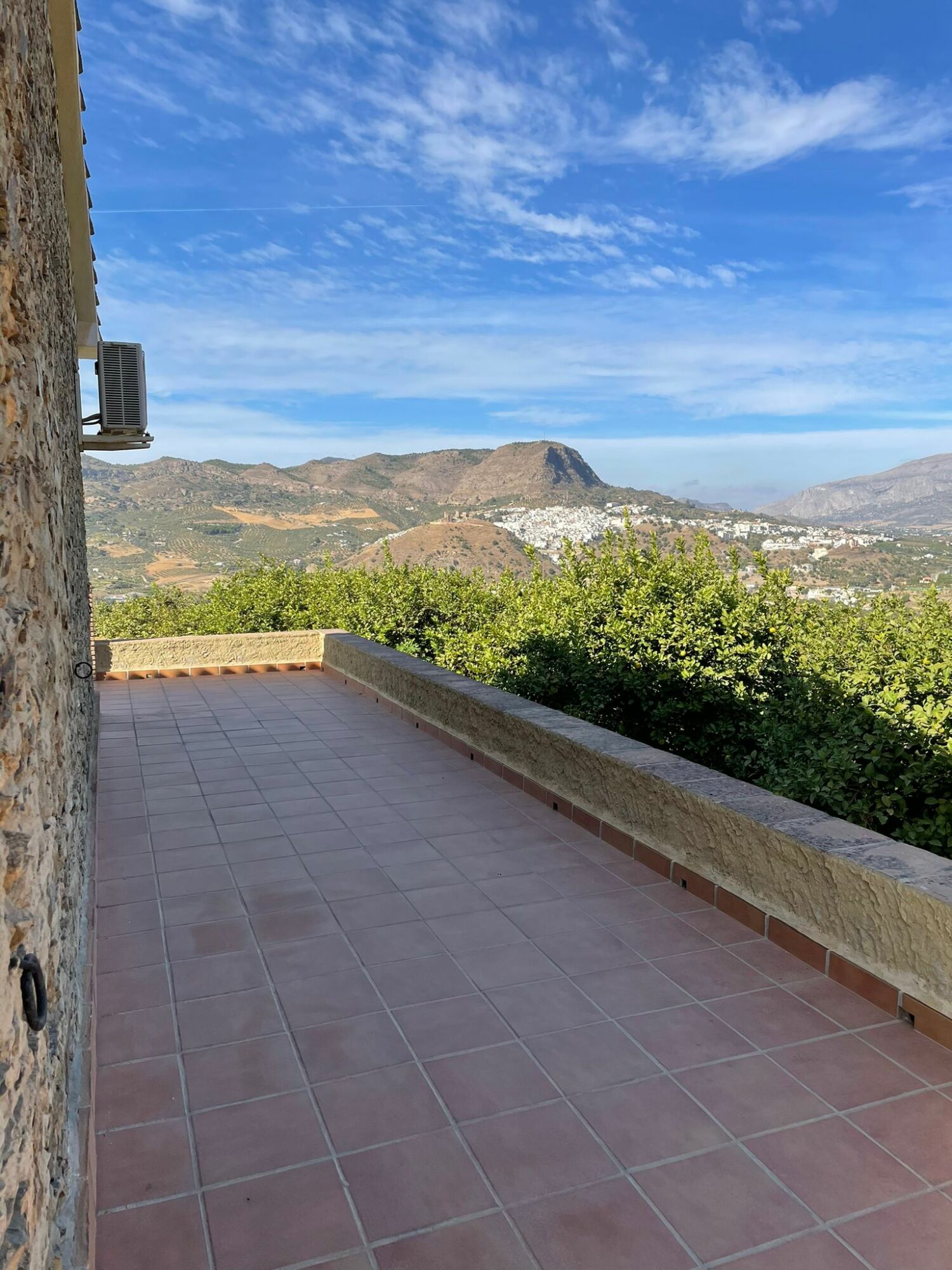 LOS PELAEROS 007.jpeg