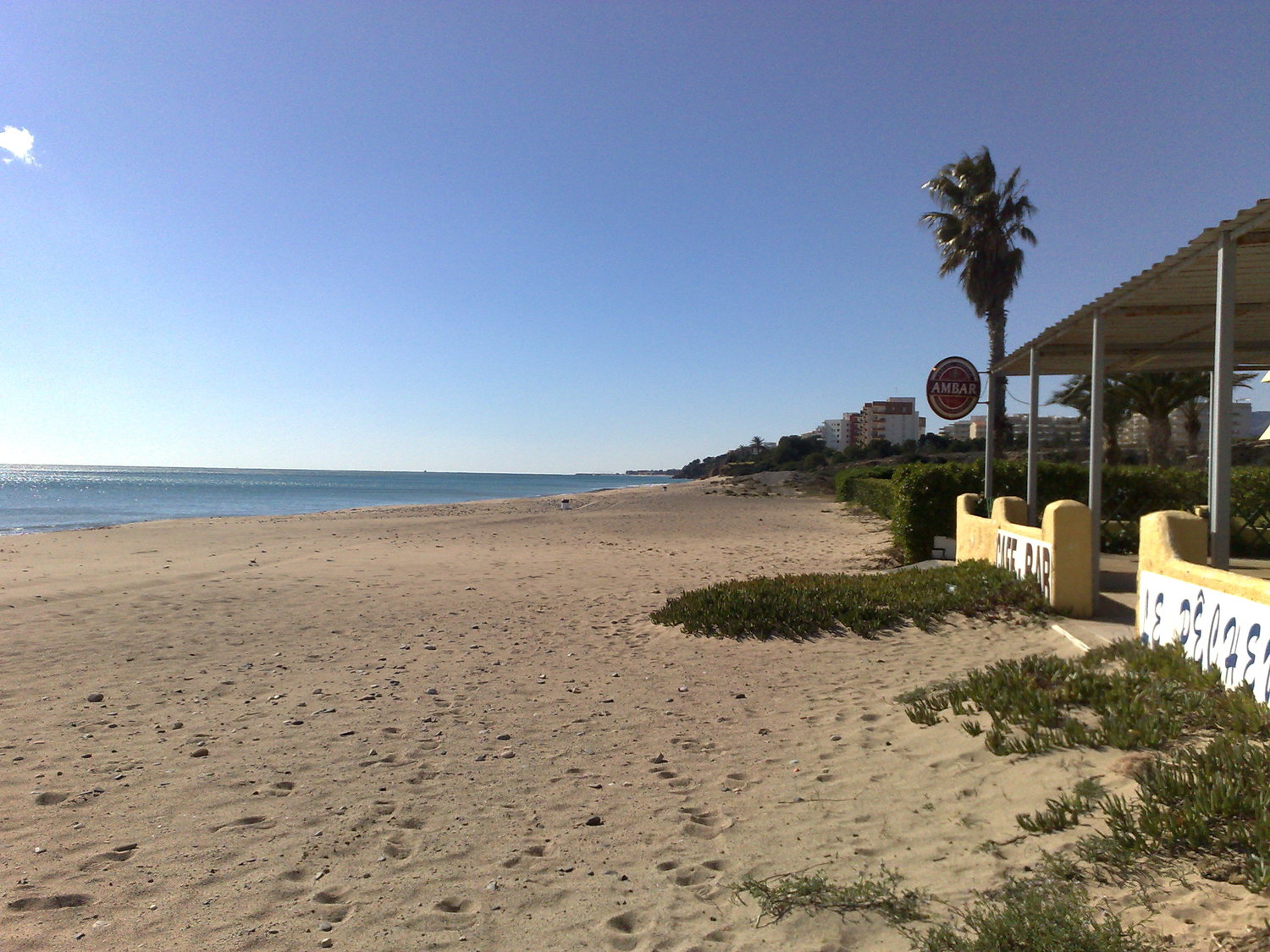 11022010564 - copia.jpg