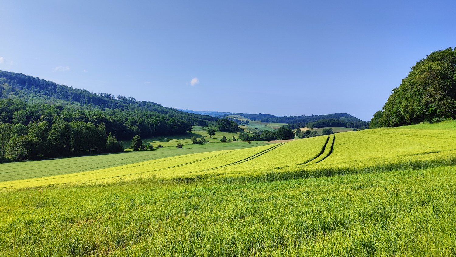 Landschaft Melschede 2.jpg