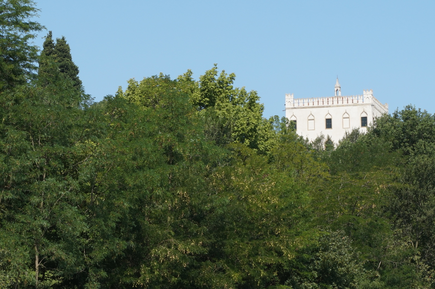 DSC00041 - Copia testo.JPG