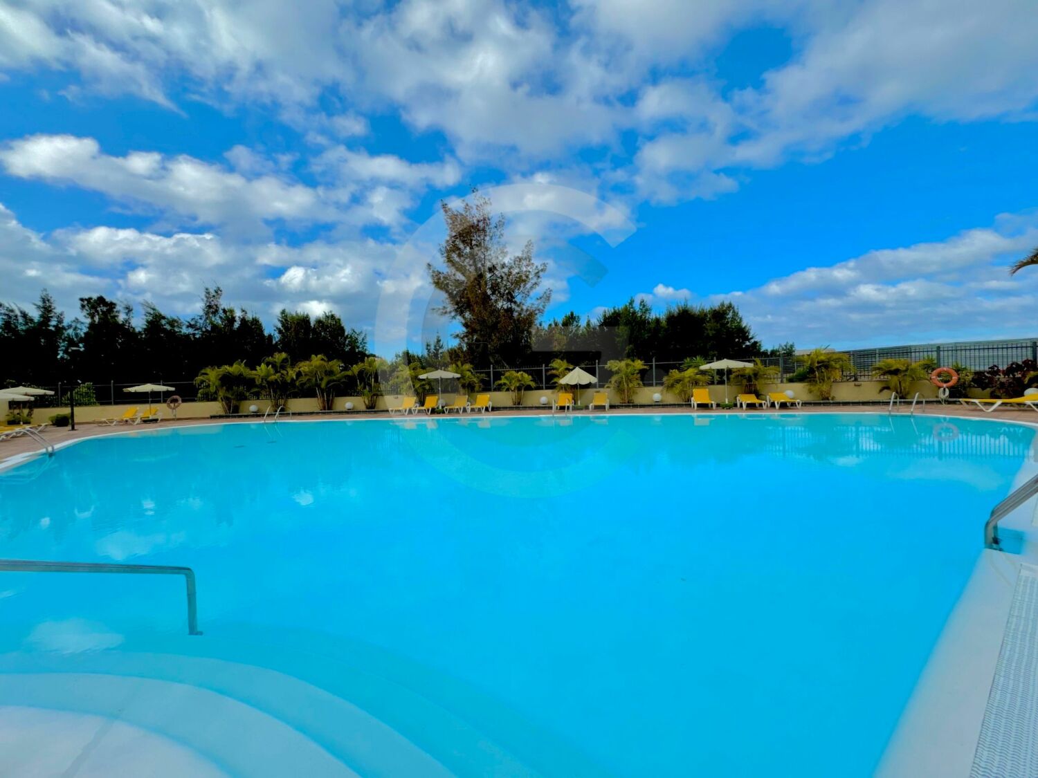 WhatsApp Image 2025-07-28 at 19.26.59 (1).jpeg