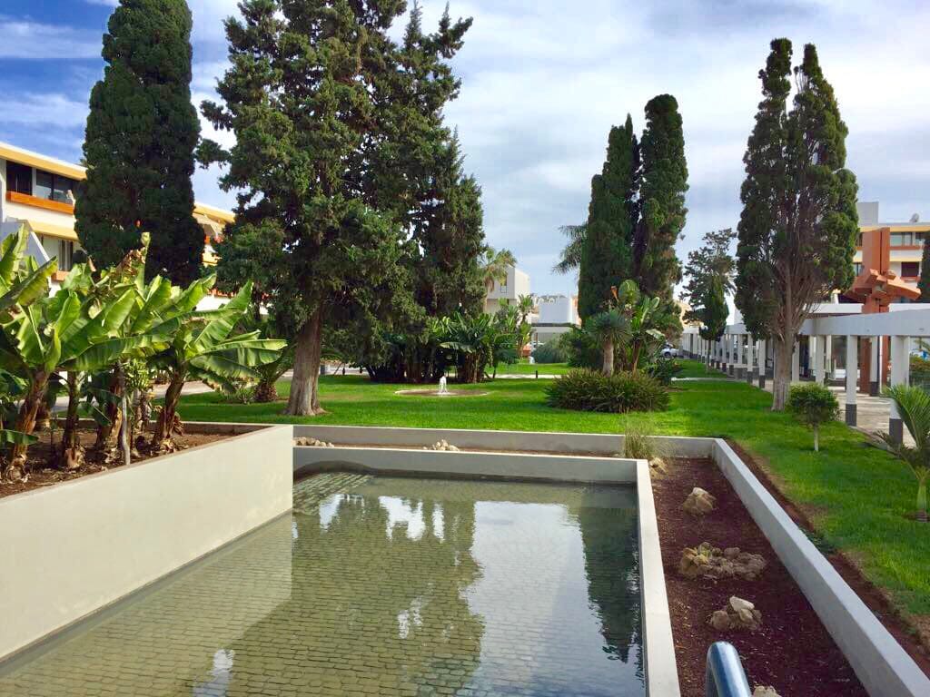 WhatsApp Image 2019-05-17 at 17.11.57(1).jpeg