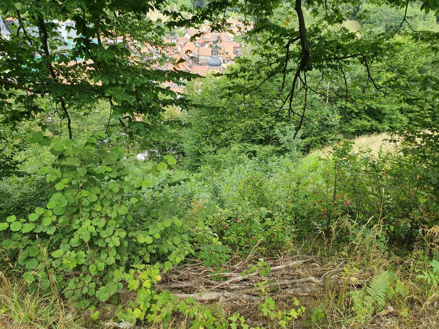 WhatsApp Image 2021-11-30 at 14.38.58 (1).jpeg