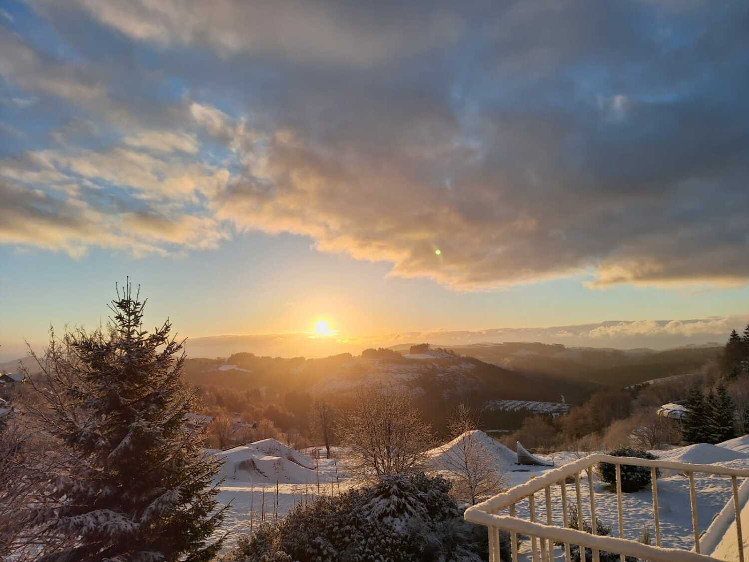 WhatsApp Image 2024-03-28 at 12.14.49 (1).jpeg