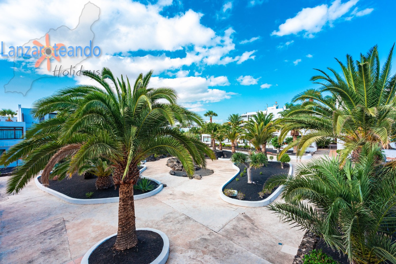 WhatsApp Image 2020-10-01 at 19.00.33.jpeg