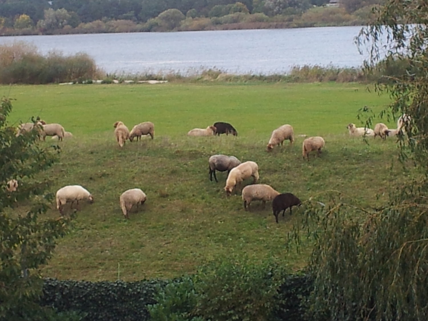 2011-10-19 15.21.23.jpg