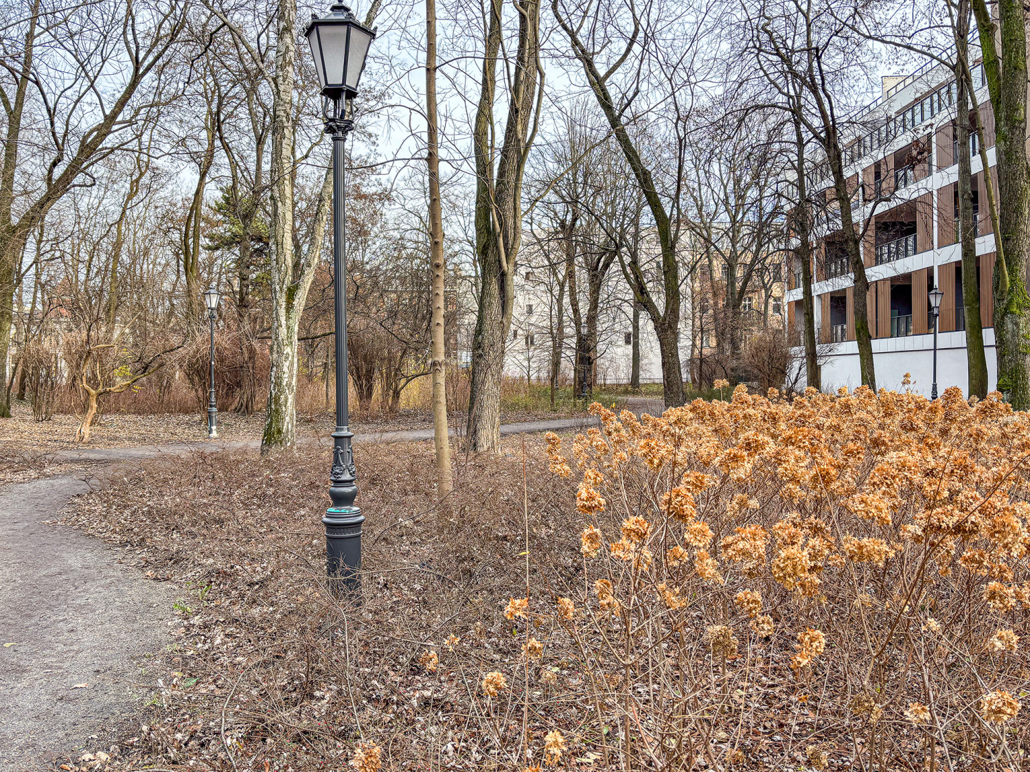 widok na park z apartamentu  na wynajem.jpg