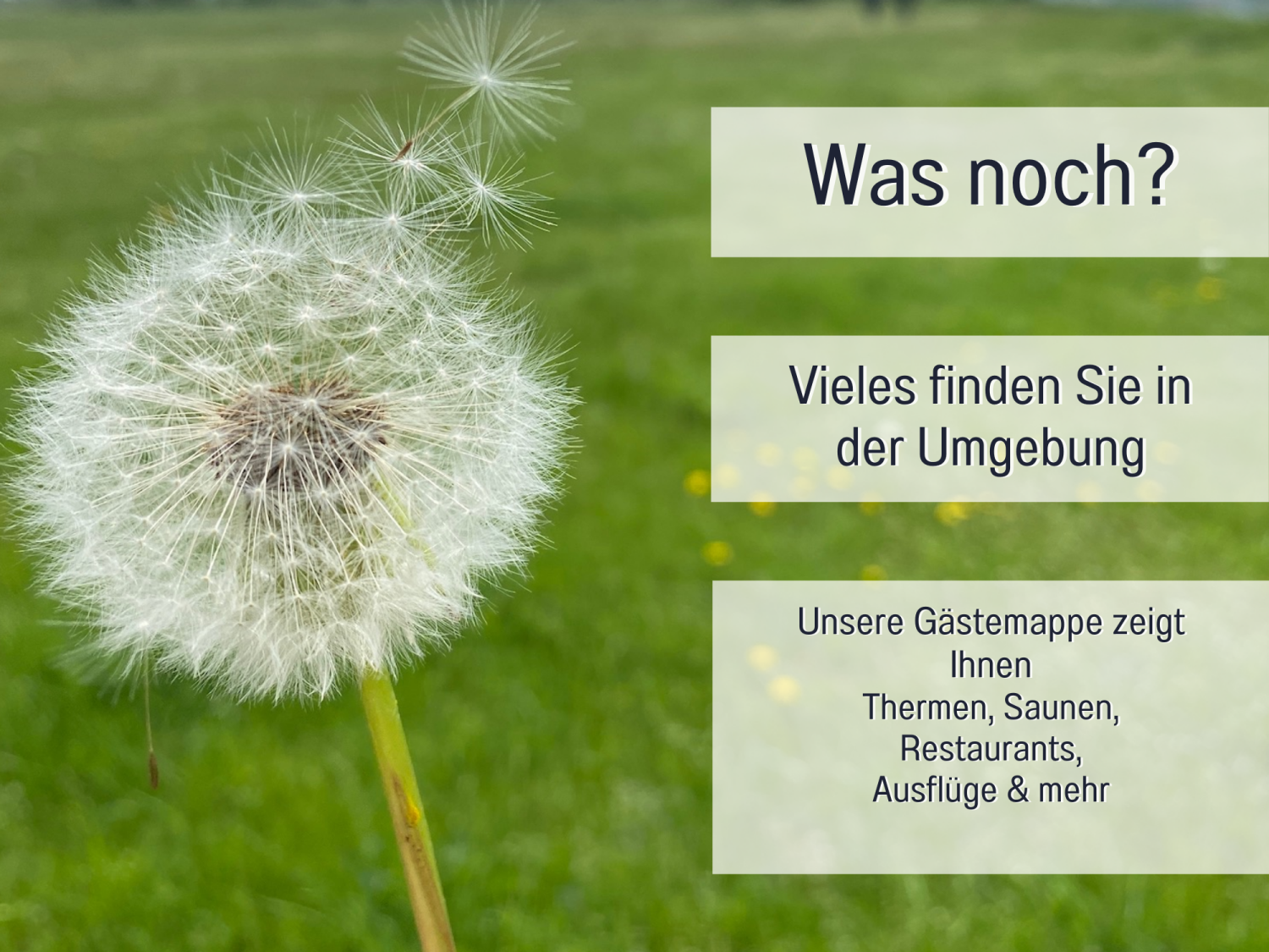 Vorlage für _beschriftet (43).png