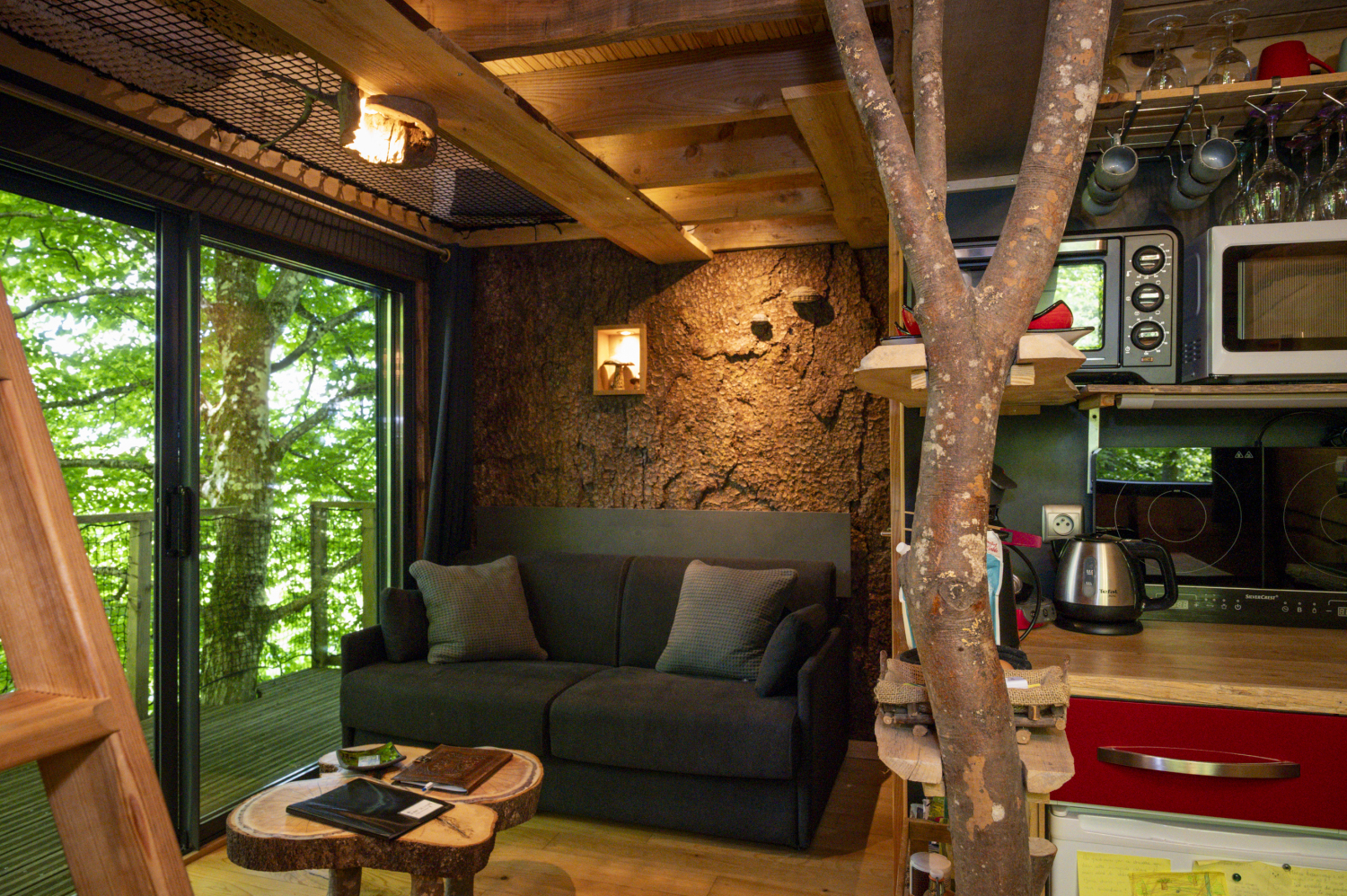 pat' de l'ours-55.JPG