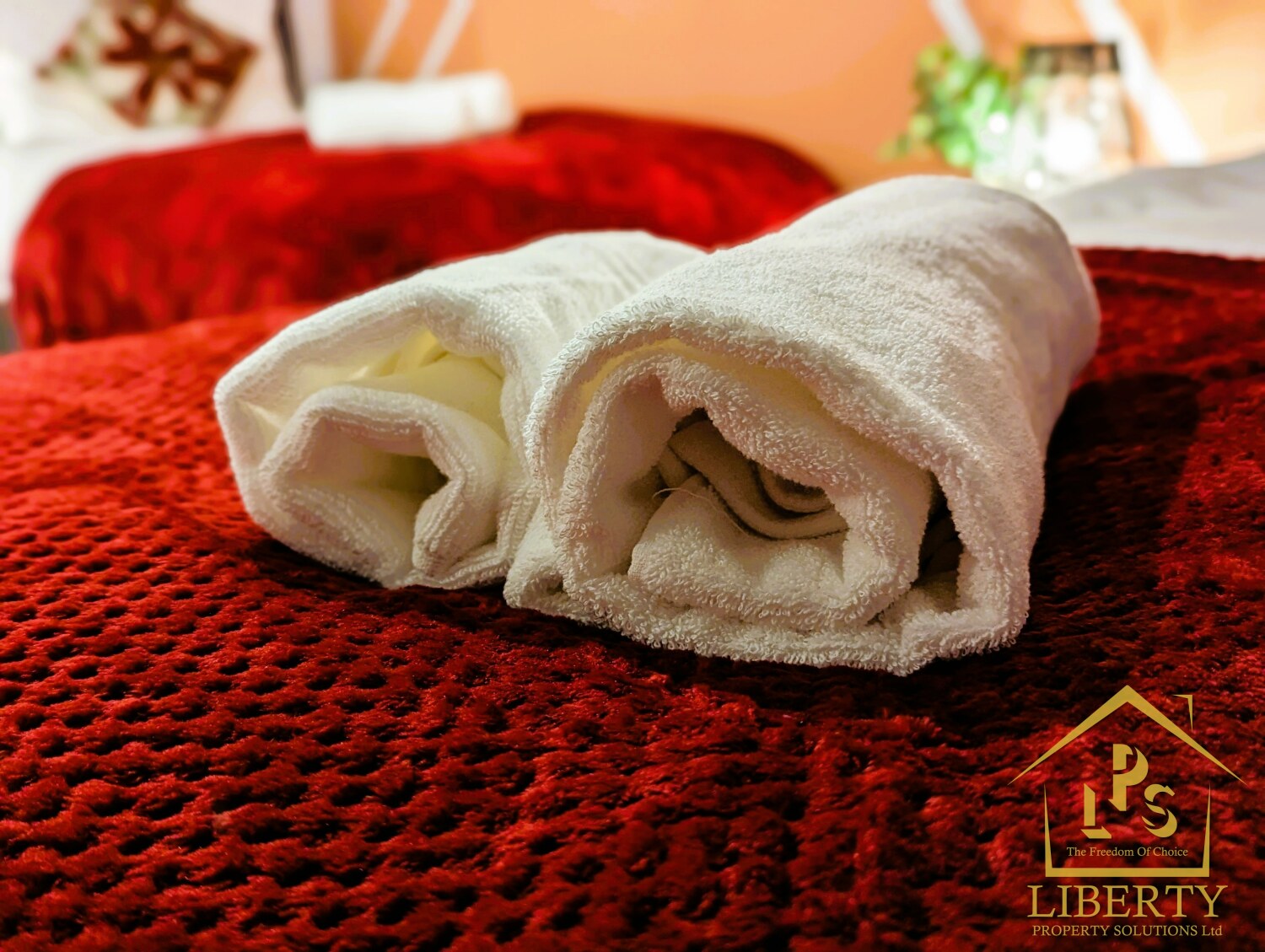 PXL_20231230_164624938.PORTRAIT (2).jpg