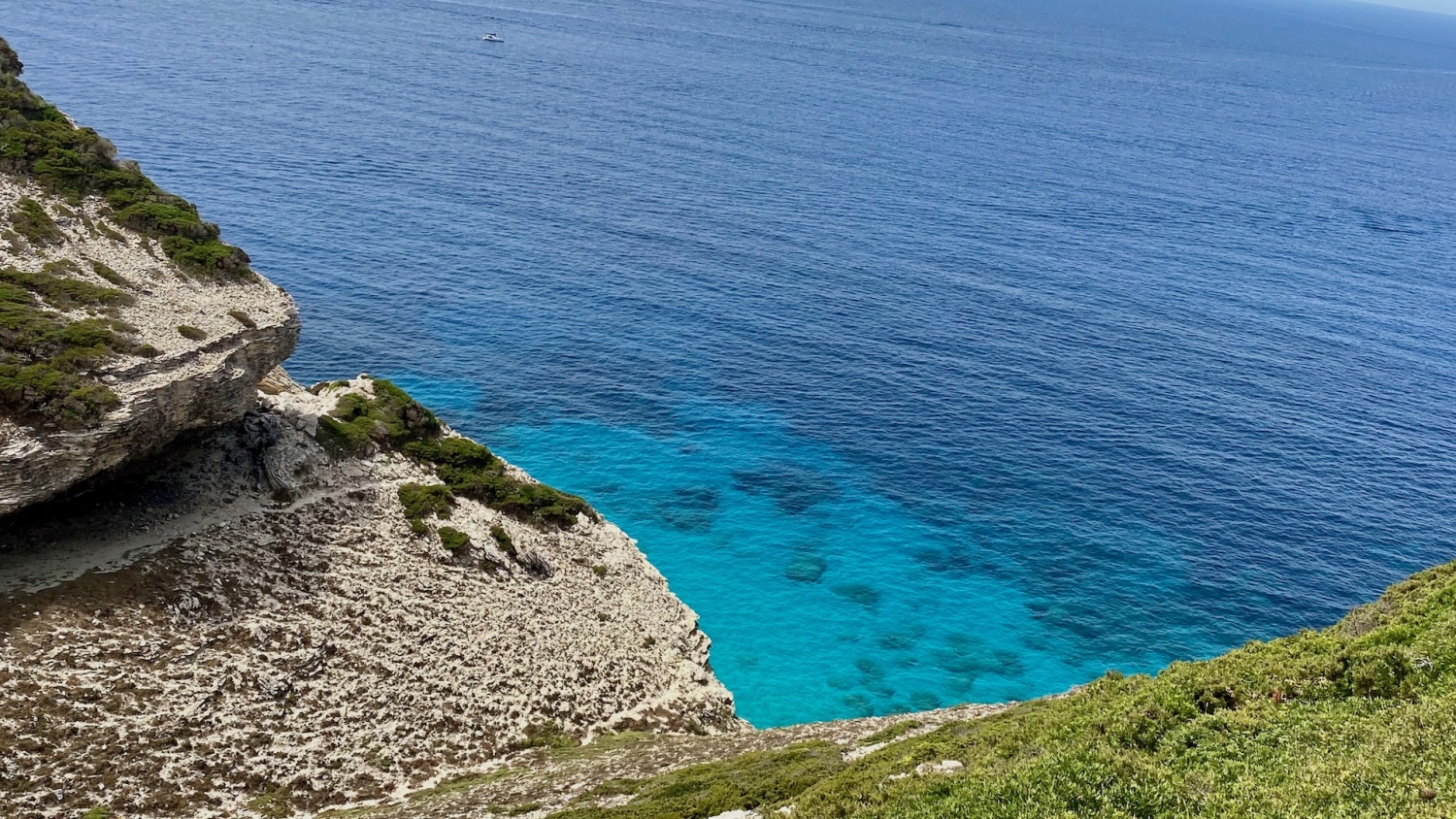 Bonifacio - IMG_5022 - Rp.jpg