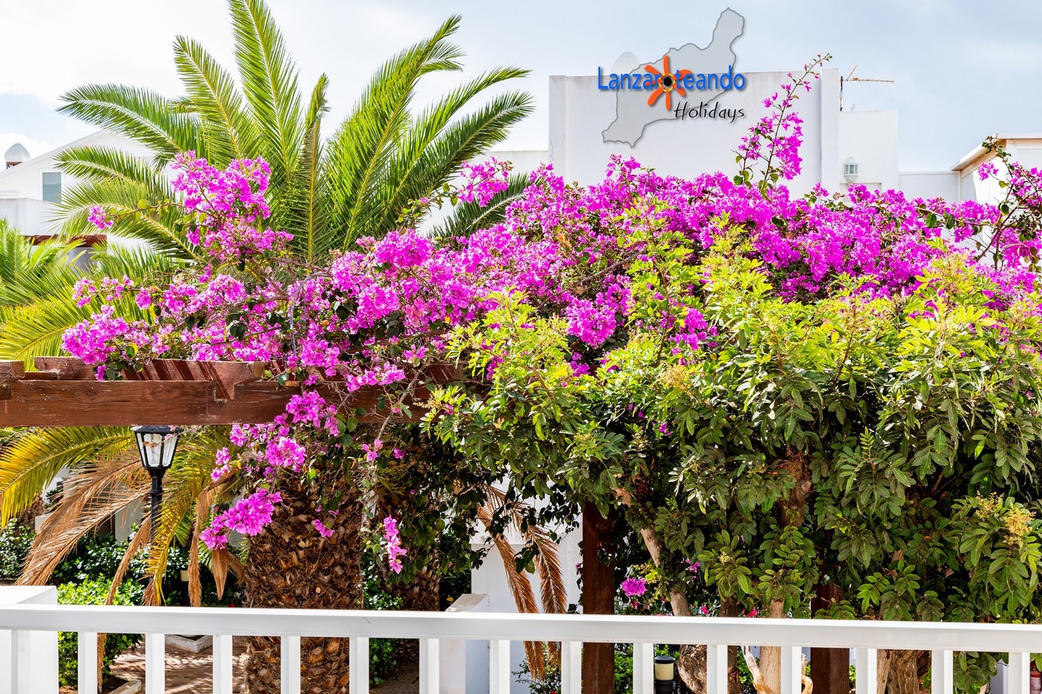 WhatsApp Image 2019-10-21 at 17.36.16(18).jpeg