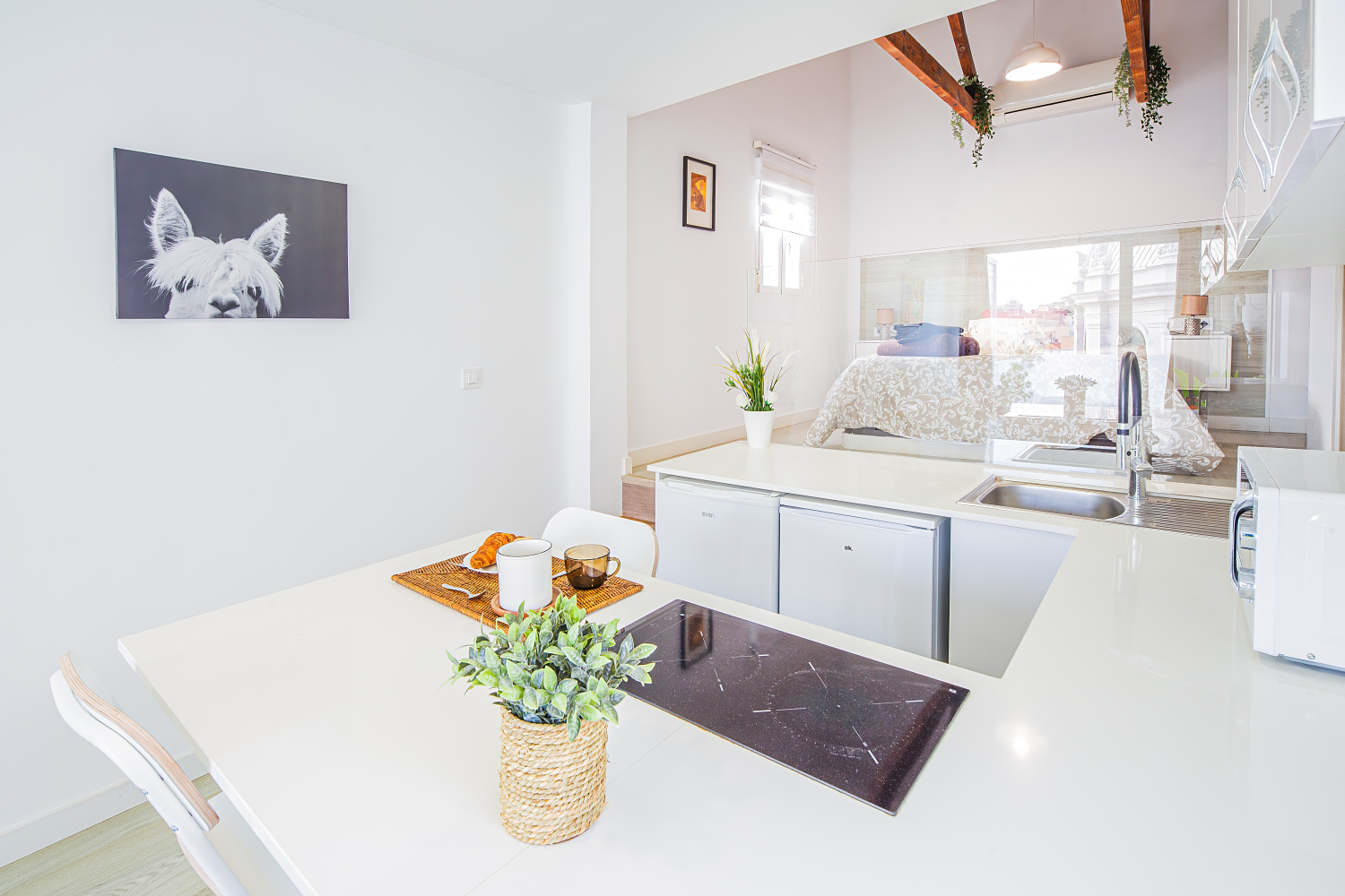 SAN VICENTE 09_5B_08.jpg