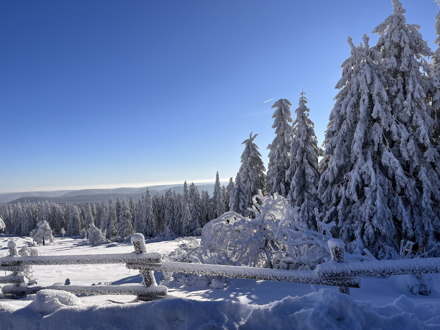 2023-12-03_10-41-48_023 (1) (1).jpeg