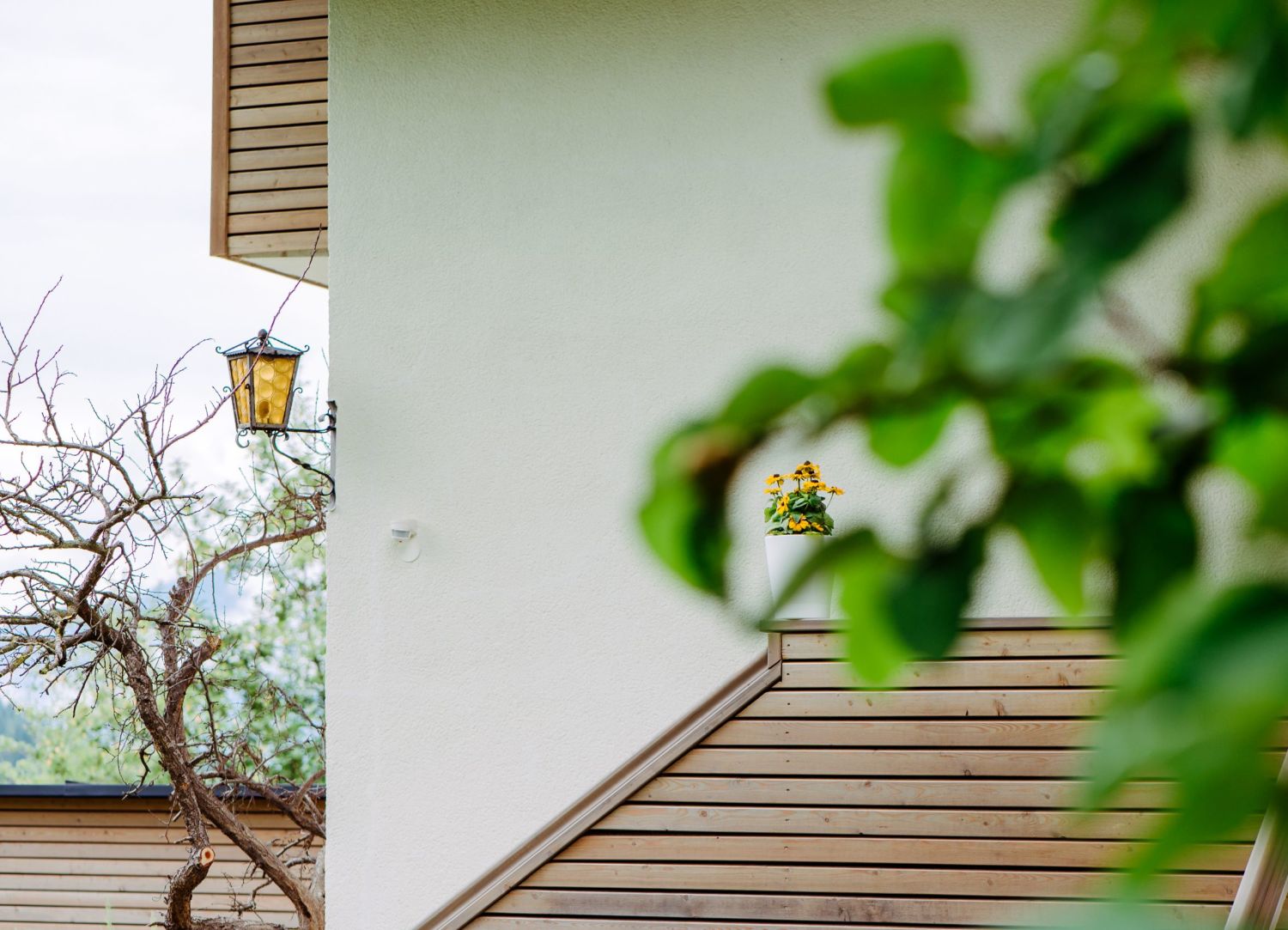 Ferienwohnung Mountain View 1 mit Gartenzugang in Spital am Pyhrn.jpg