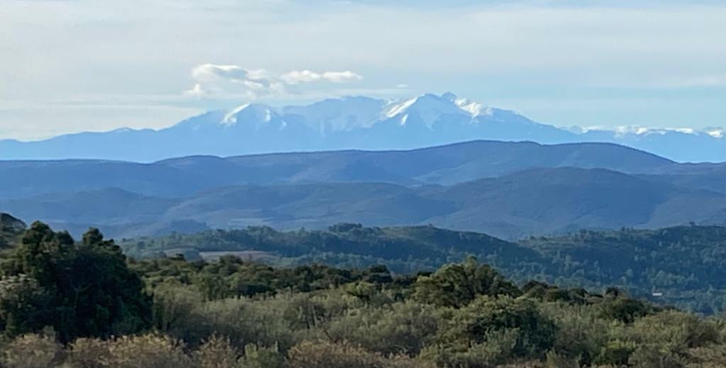 WhatsApp Image 2022-01-18 at 07.32.01.jpeg