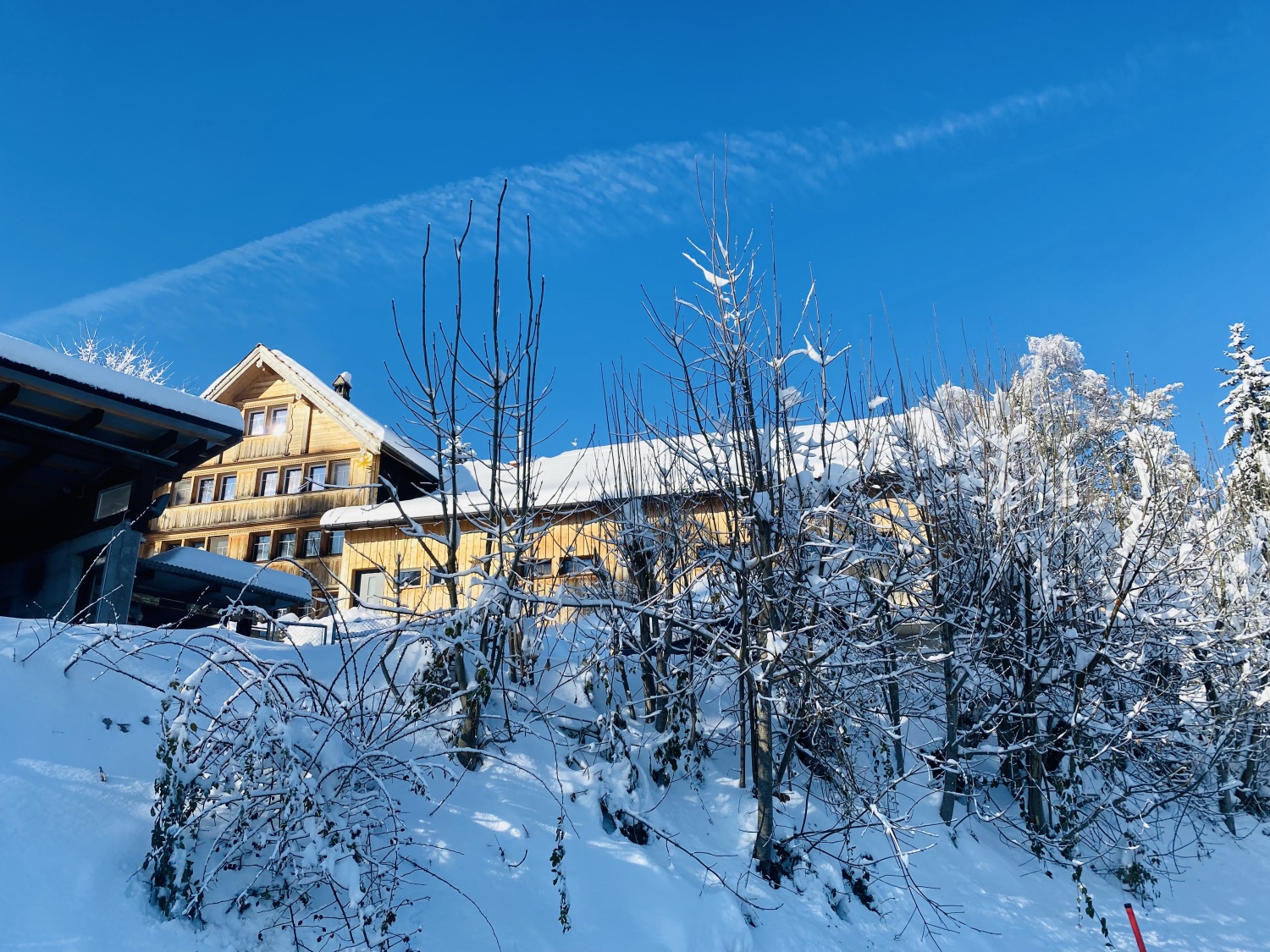 Foto 03.12.23, 12 40 49 (1).jpg