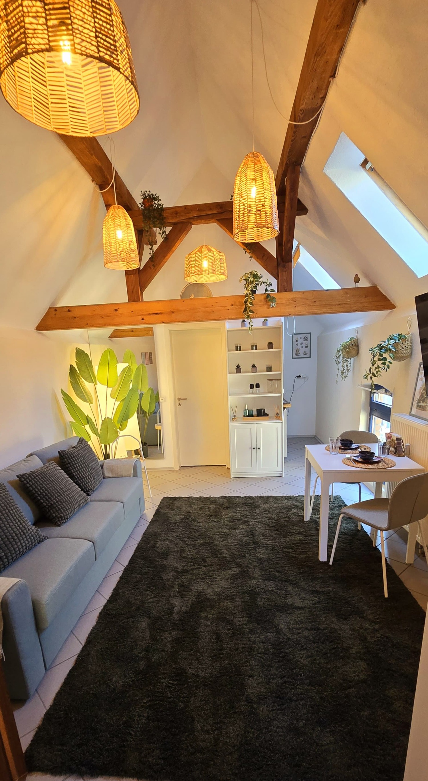 WhatsApp Bild 2024-11-14 um 22.20.19_52542a68.jpg