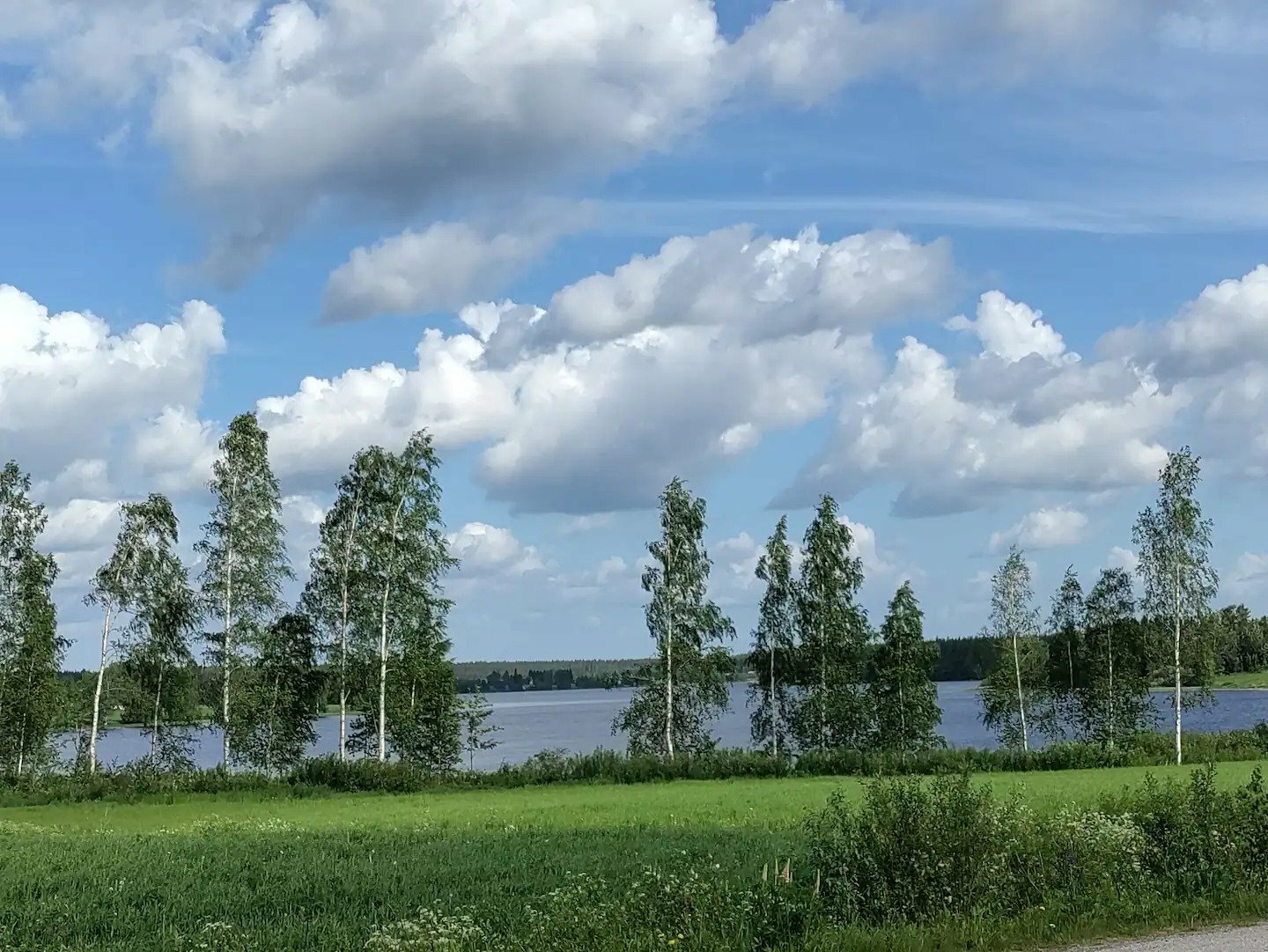 alavus9.jpg