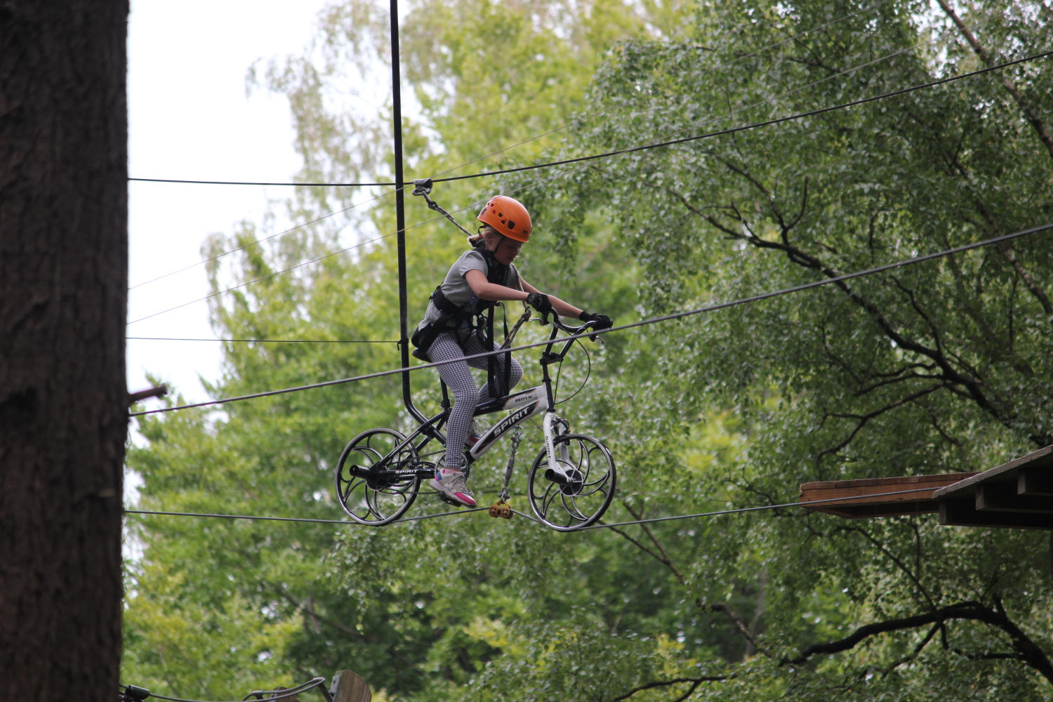 Klimbos Garderen-2.jpg