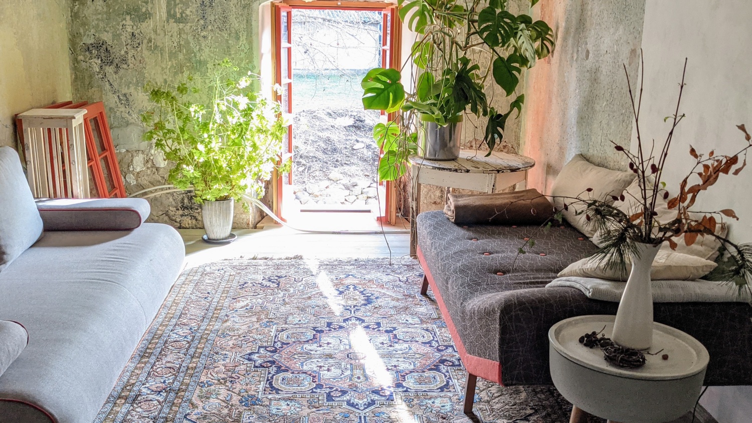 PXL_20210223_140040046 Cropped.jpg