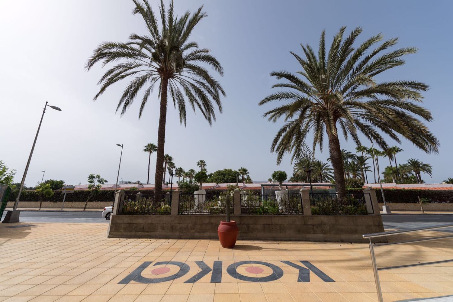 WhatsApp Image 2021-03-25 at 20.46.13.jpeg