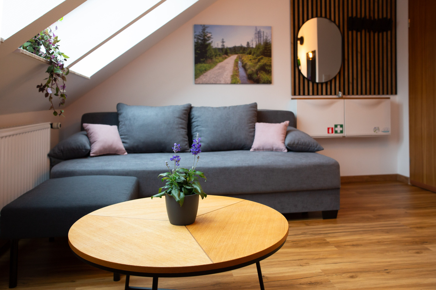 2024_06_19_Meene Fewo_007.jpg