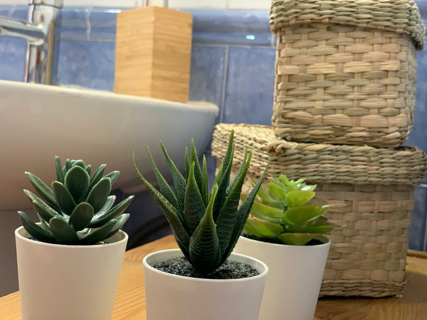 WhatsApp Image 2020-07-29 at 19.39.49.jpeg