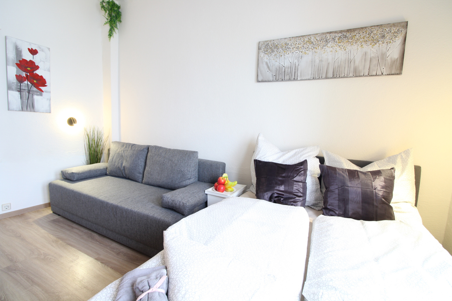 2022-12-09 - 301 - BR1 - apartment sofabed n bed_b.JPG