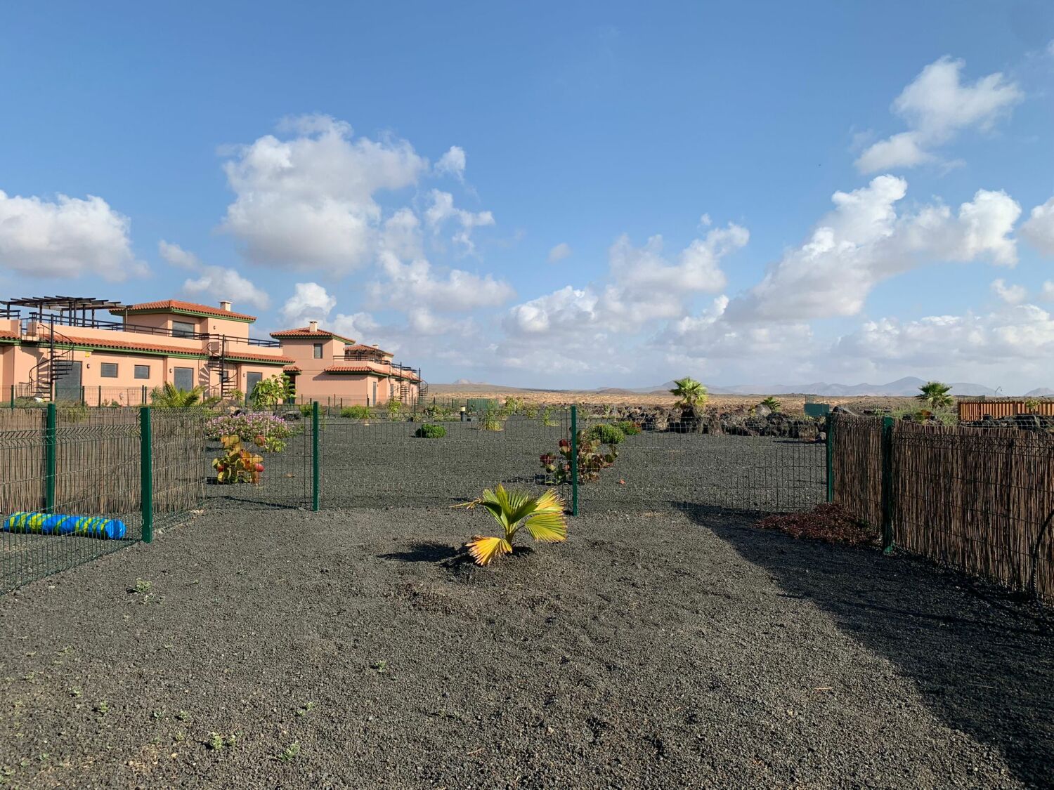 Imagen de WhatsApp 2023-05-25 a las 07.47.37.jpg