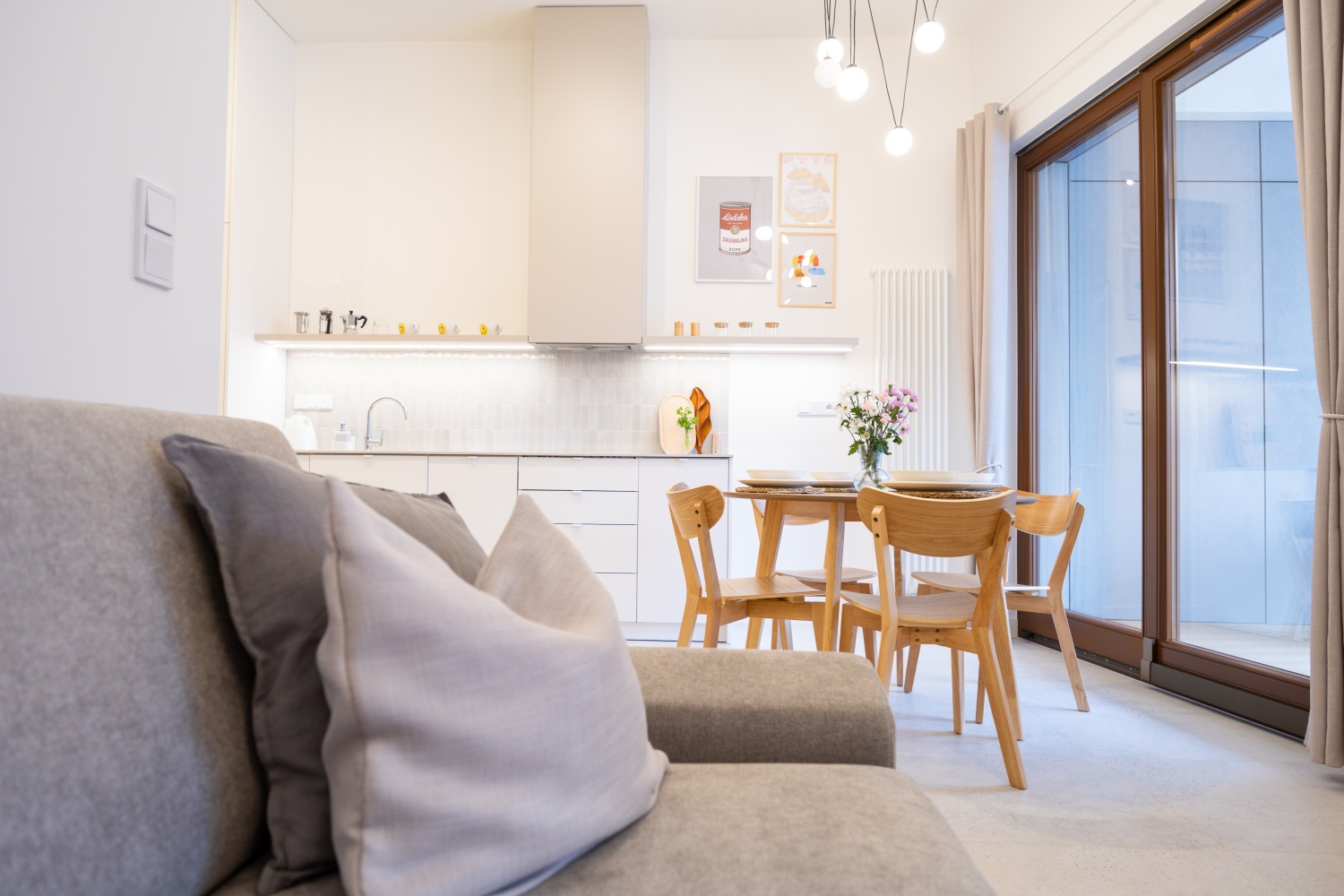 widok z kanapy na park i balkon.jpg