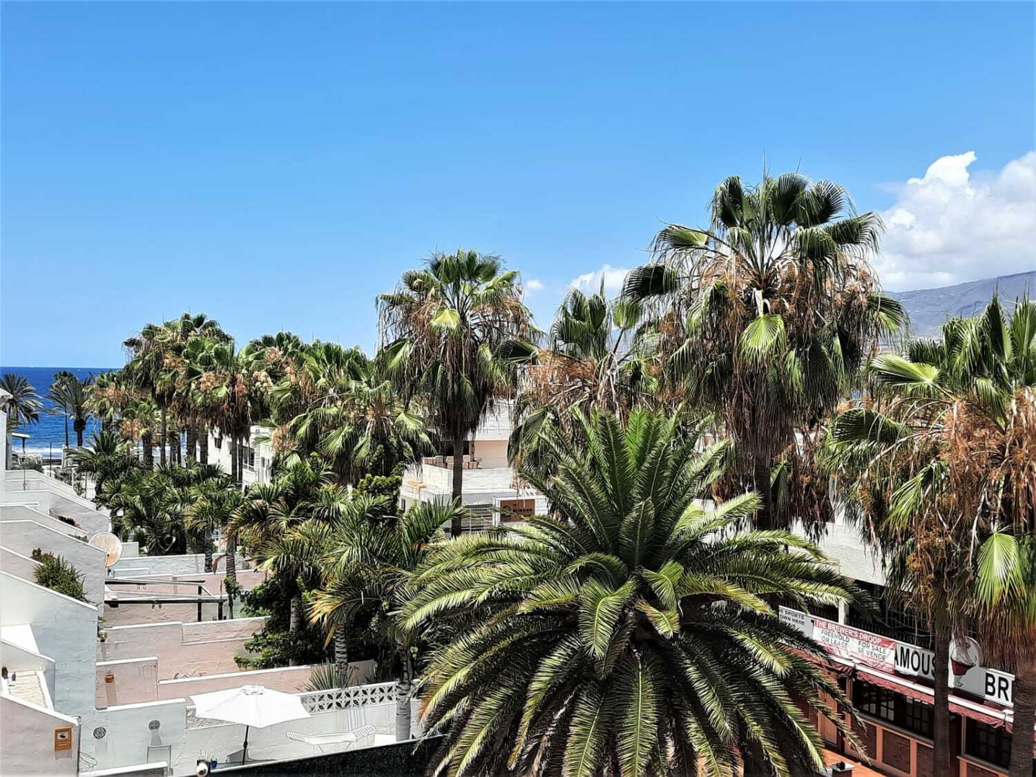 PHOTO-2024-03-07-10-23-06 (1).jpg