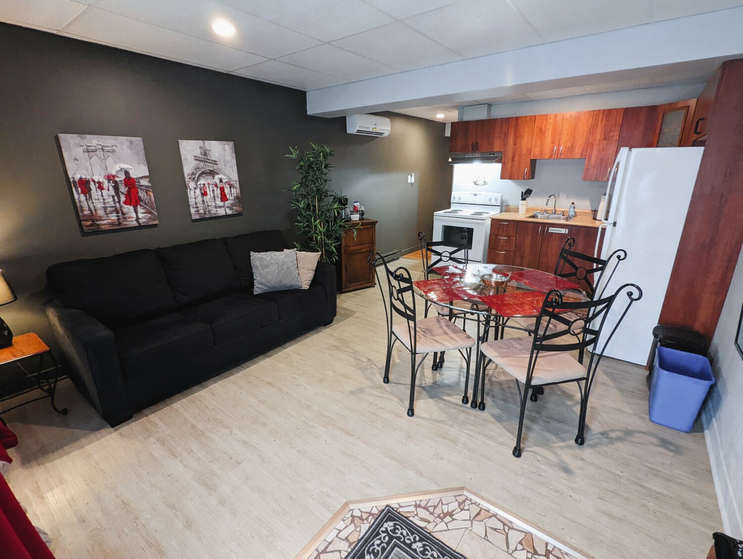 Salon et cuisine.jpg