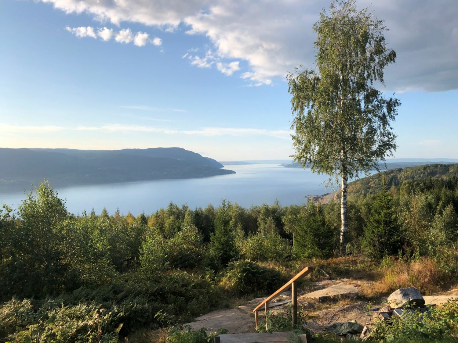 lq 65194867059__84197D55-E08E-4F22-AB1D-A5C454BE0E87.jpg