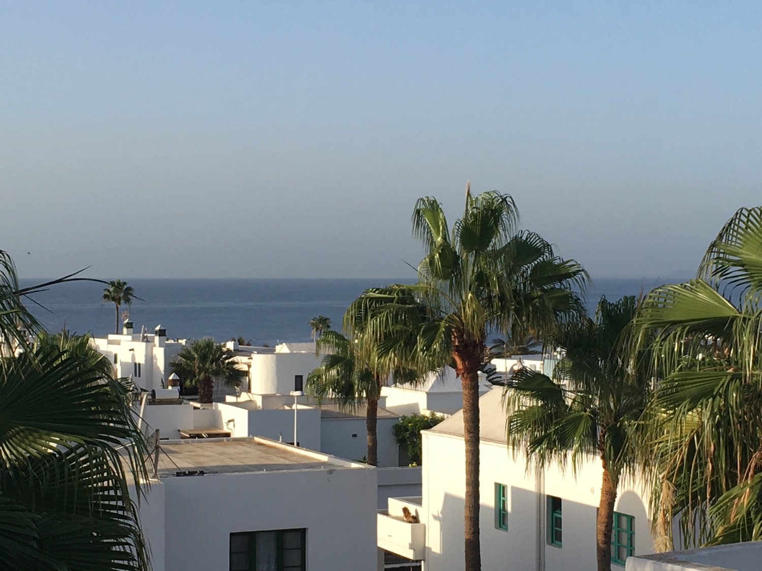 13-2017-10-11 08.54.12.jpg