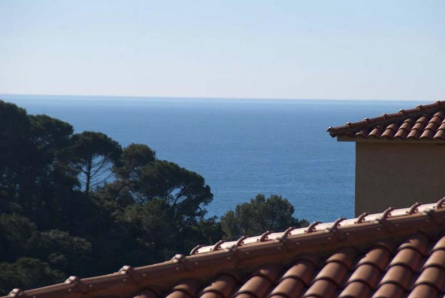 Schermafbeelding 2021-12-05 om 16.01.33.png