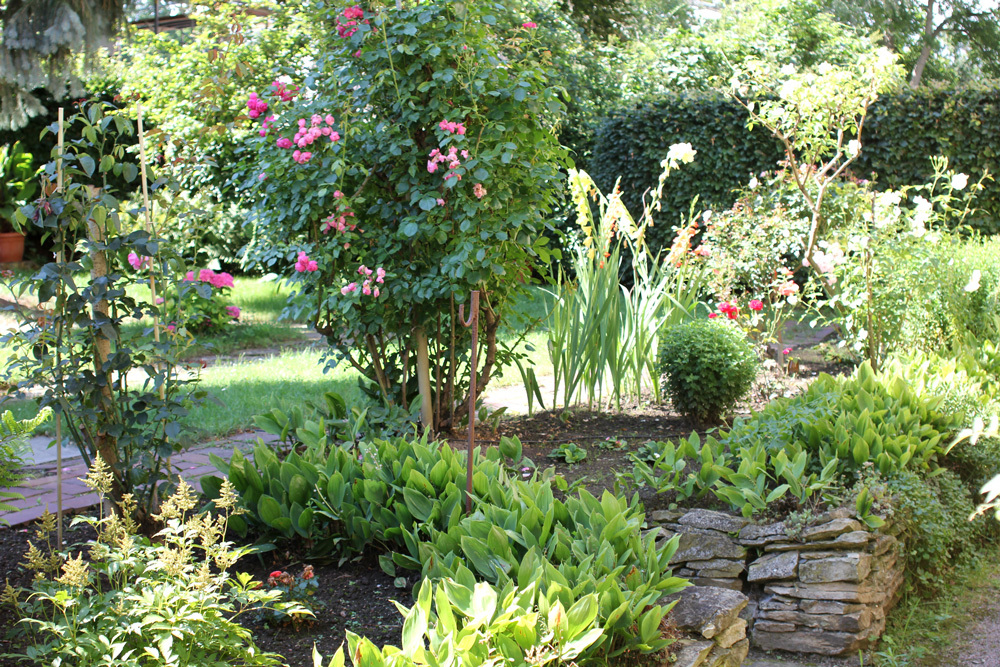 garten1.jpg