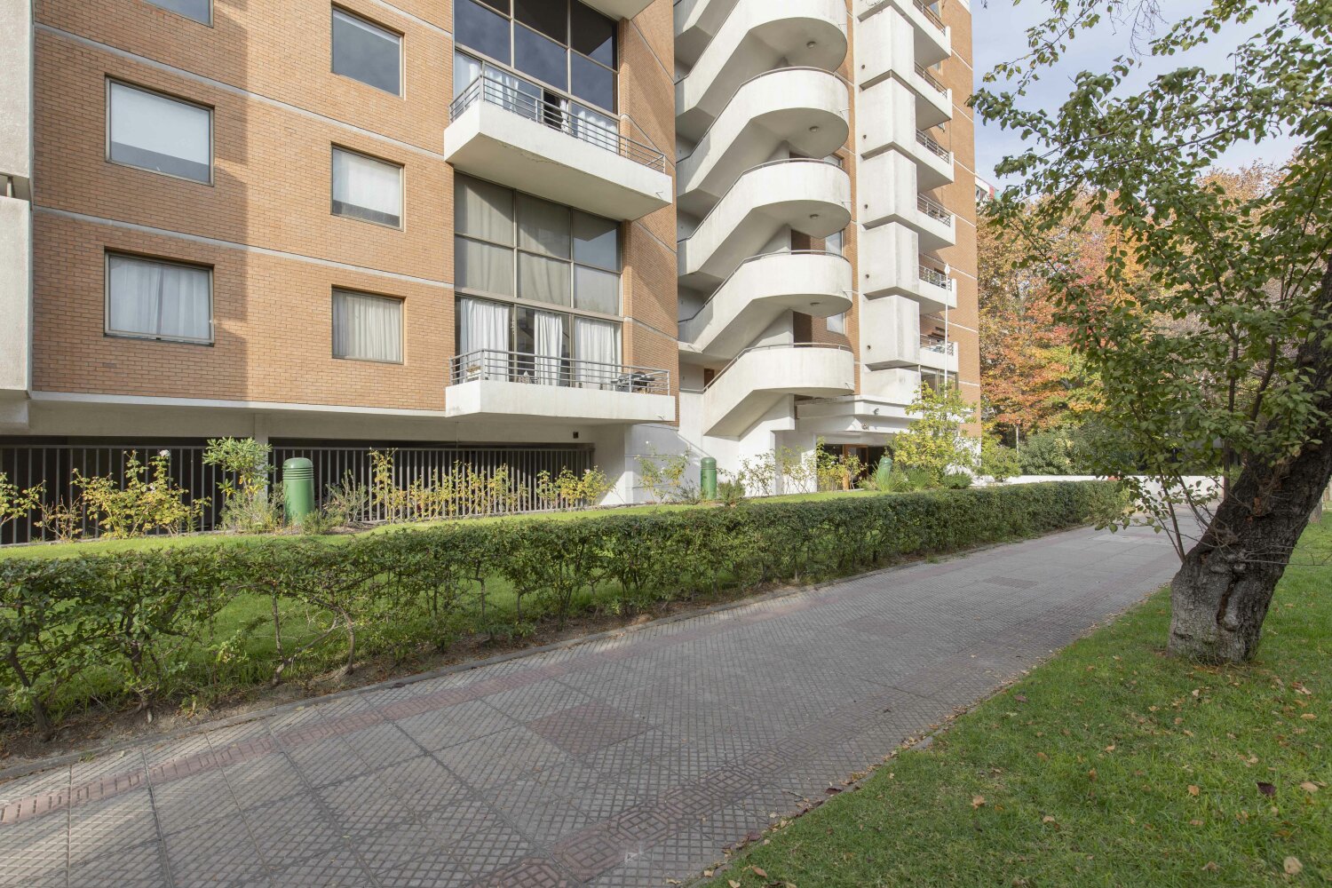 Pedro_Jose Smith -21.JPG