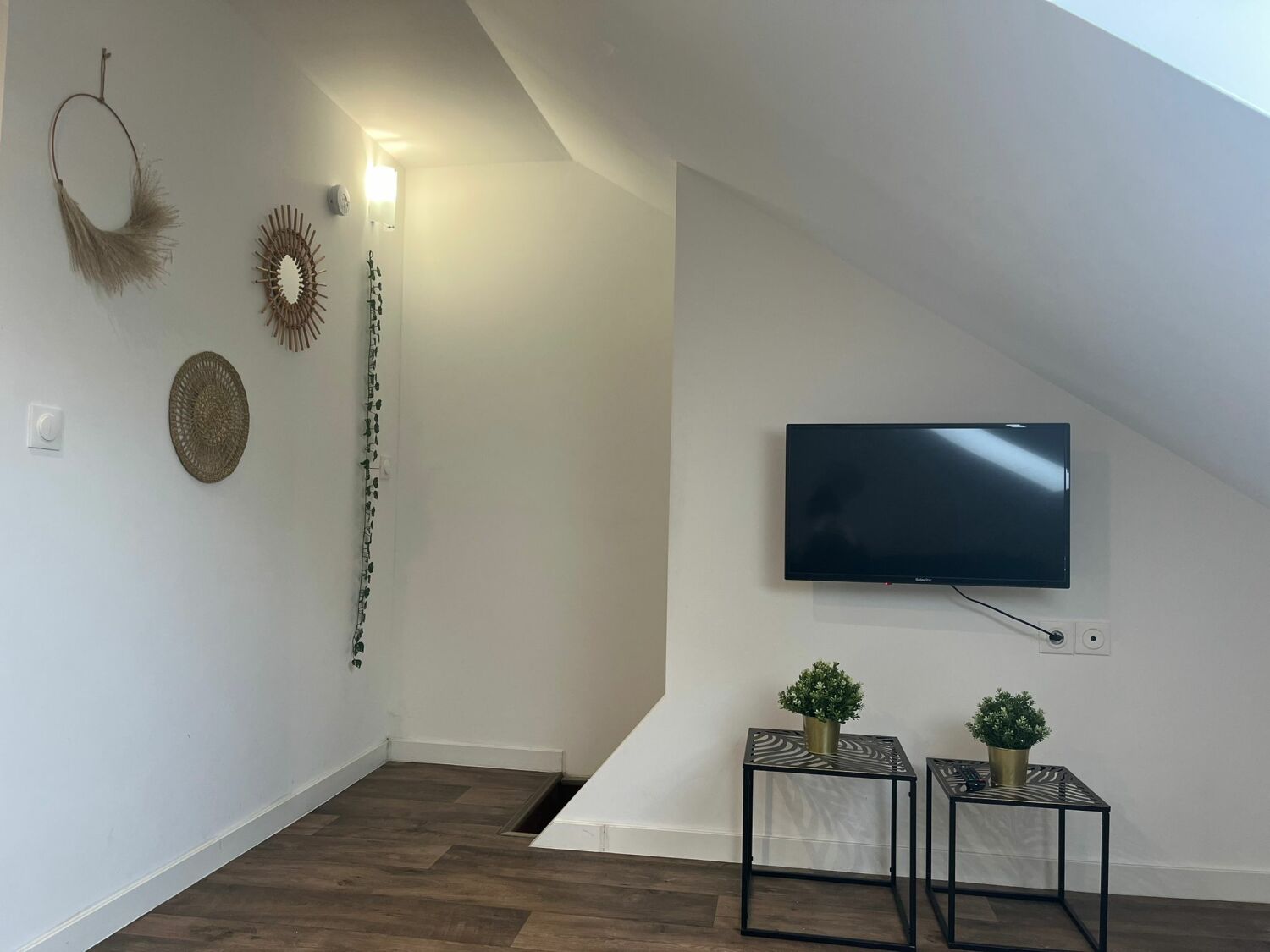 PHOTO-2024-04-05-20-46-17 2.jpg