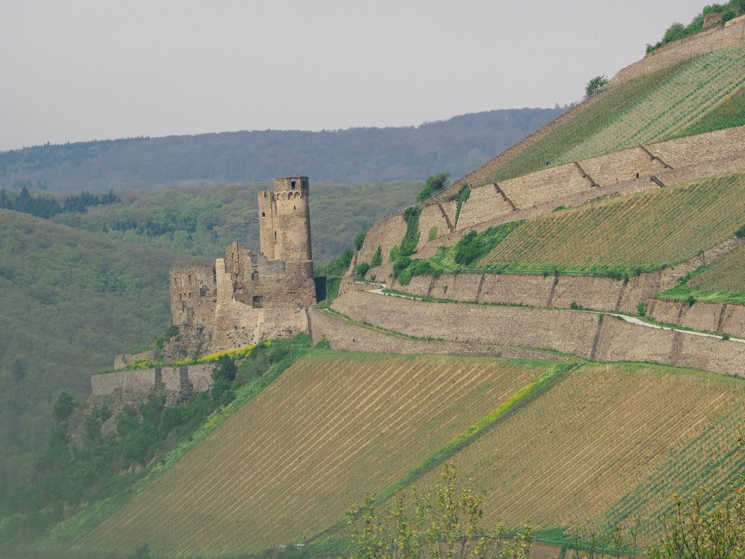 Aussicht Burg Ehrenfels nah 1.jpg